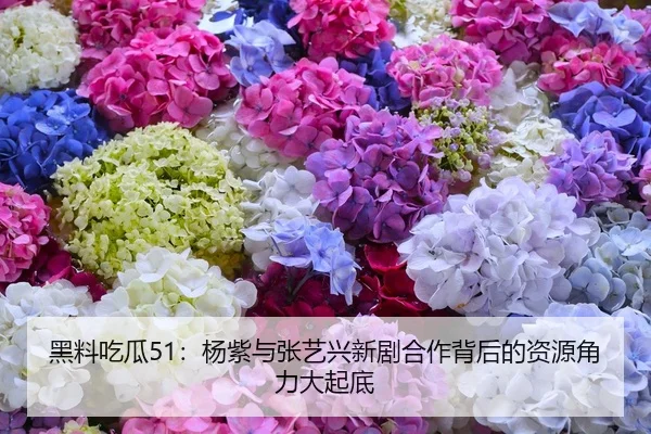 黑料吃瓜51：杨紫与张艺兴新剧合作背后的资源角力大起底