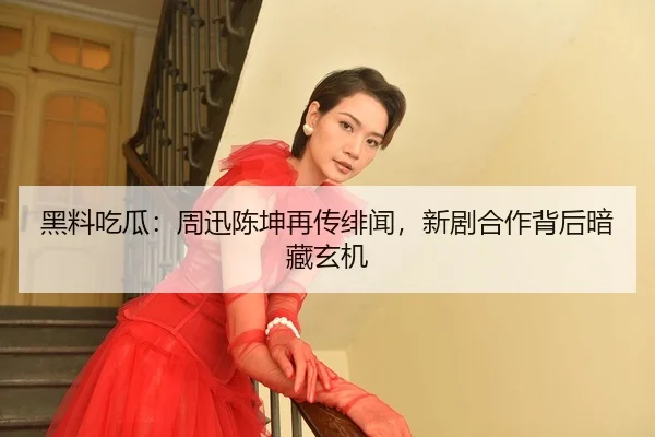 hei-liao-chi-gua-zhou-xun-chen-kun-zai-chuan-fei-wen-xin-ju-he-zuo-bei-hou-an-cang-xuan-ji-2-150.jpg
